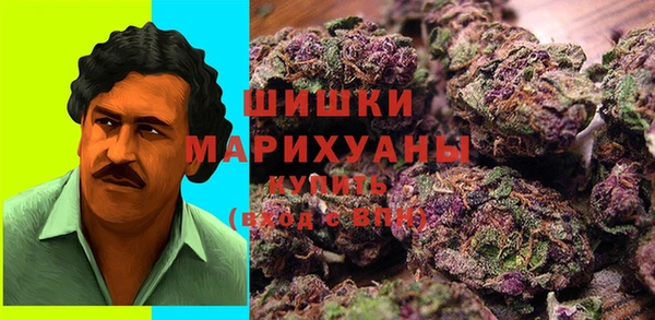 мдпв Дмитриев