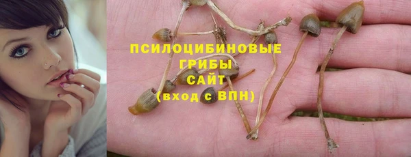jwh Дмитровск