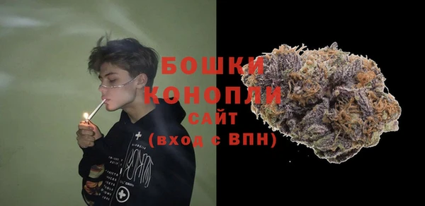 мдпв Дмитриев