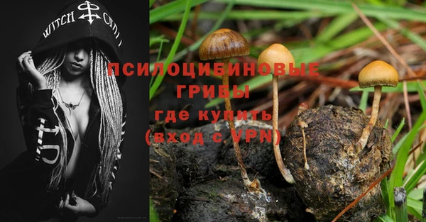 мдпв Дмитриев