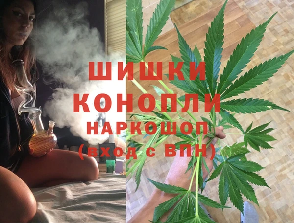 сатива Дмитров