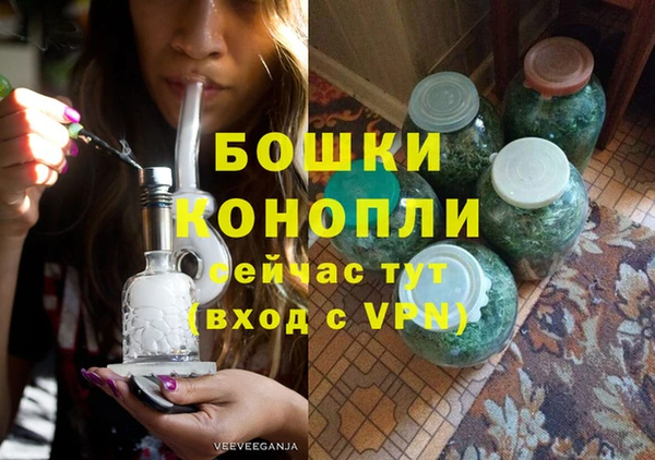 мдпв Дмитриев