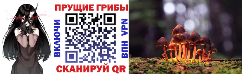Псилоцибиновые грибы ЛСД  Купить где  Малмыж 